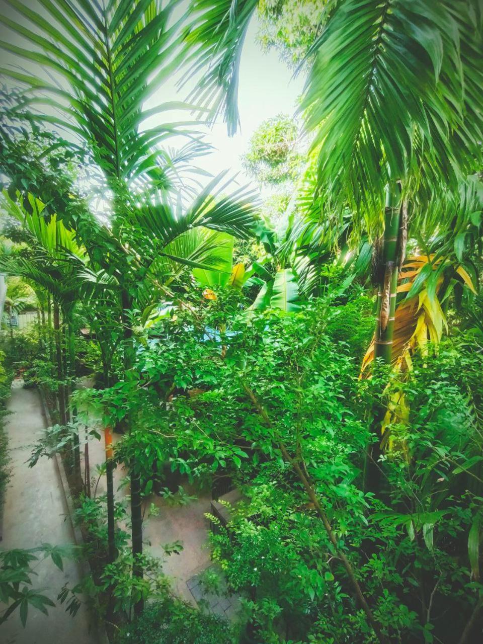 Village 3*